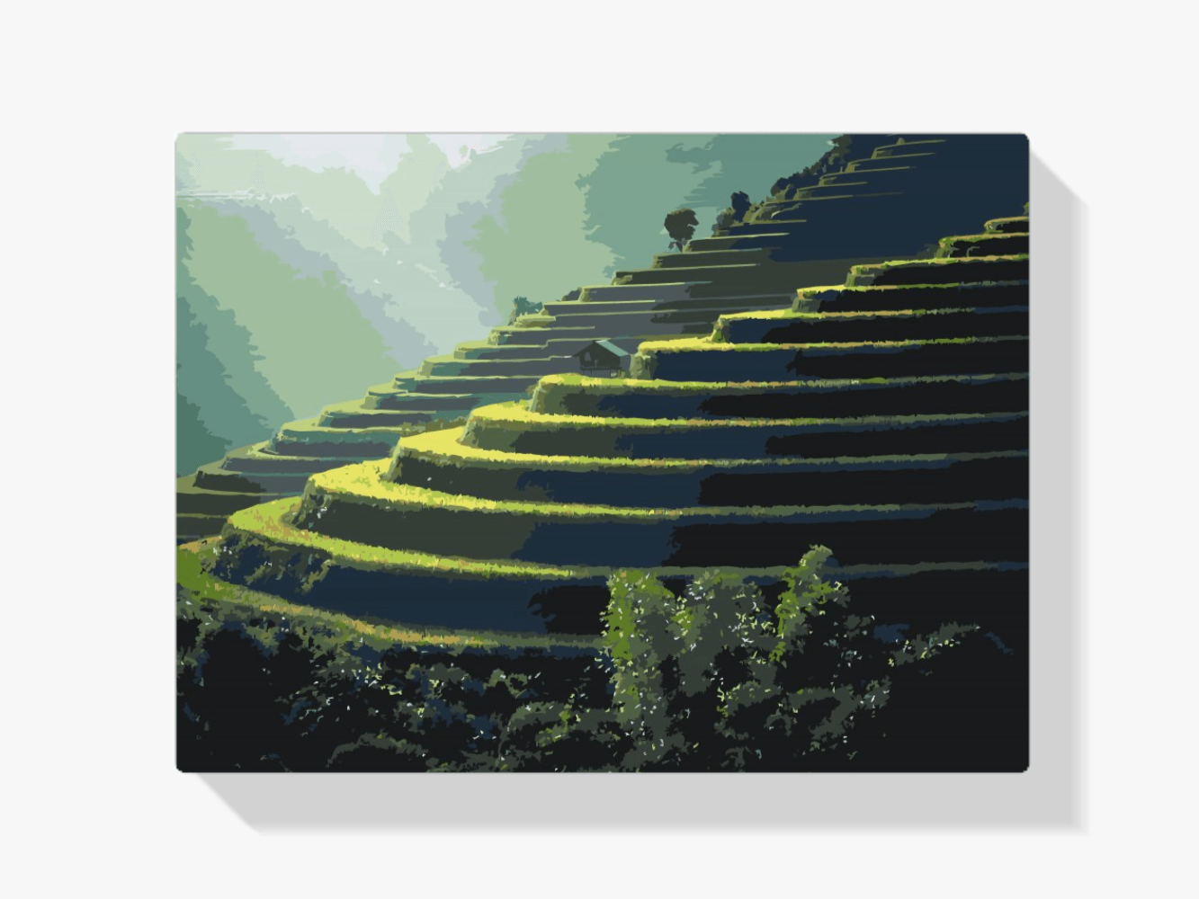 5D