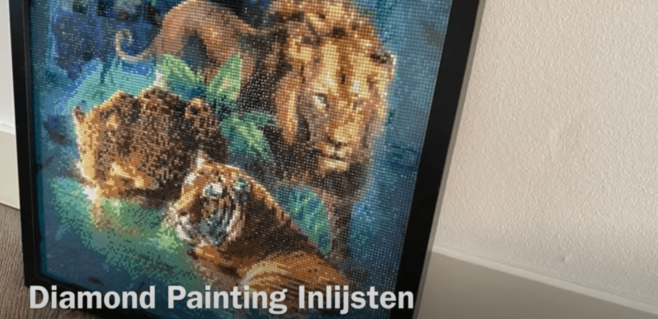 Diamond Painting Inlijsten met of Zonder Glas?