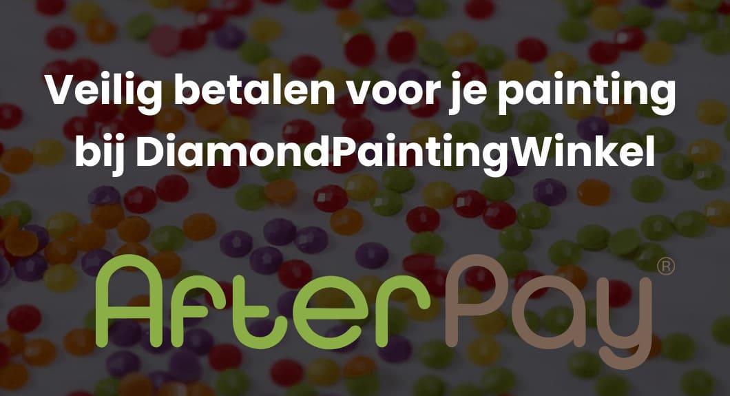 Diamond Painting bestellen met achteraf betalen?