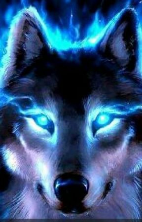 Diamond Painting Verlichting Wolf - SEOS Shop ®