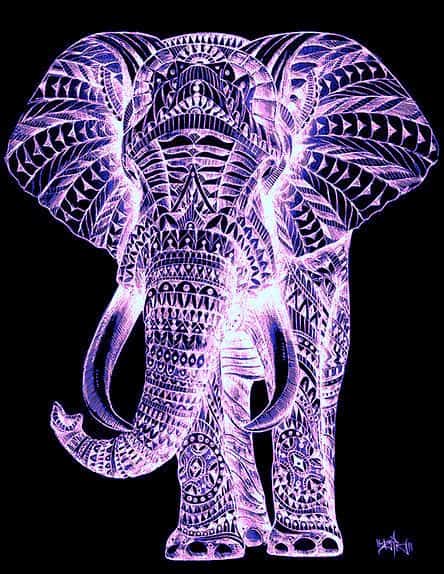 Diamond Painting Olifant liefhebber - SEOS Shop ®