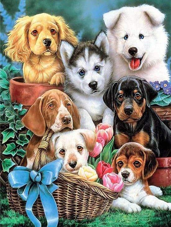 Diamond Painting Schattige Puppy's - SEOS Shop ®