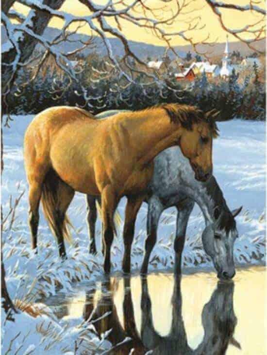 Diamond Painting Paarden drinken water - SEOS Shop ®