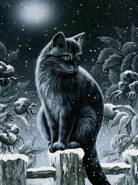 Diamond Painting Winter zwarte kat - SEOS Shop ®