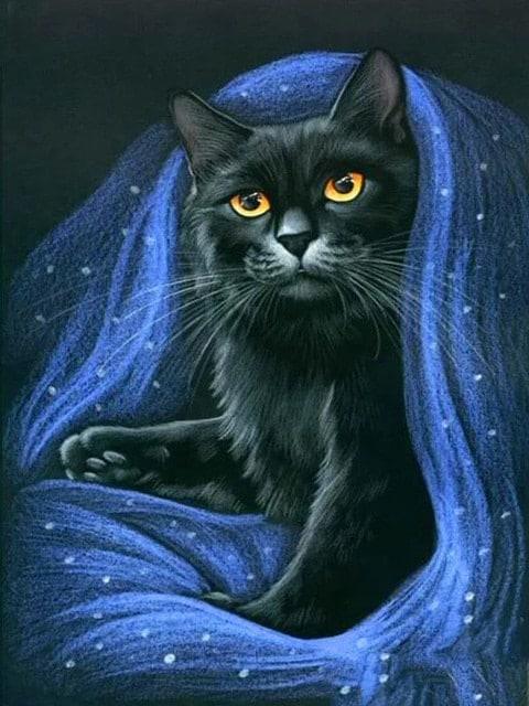 Diamond Painting Zwarte Kat - SEOS Shop ®