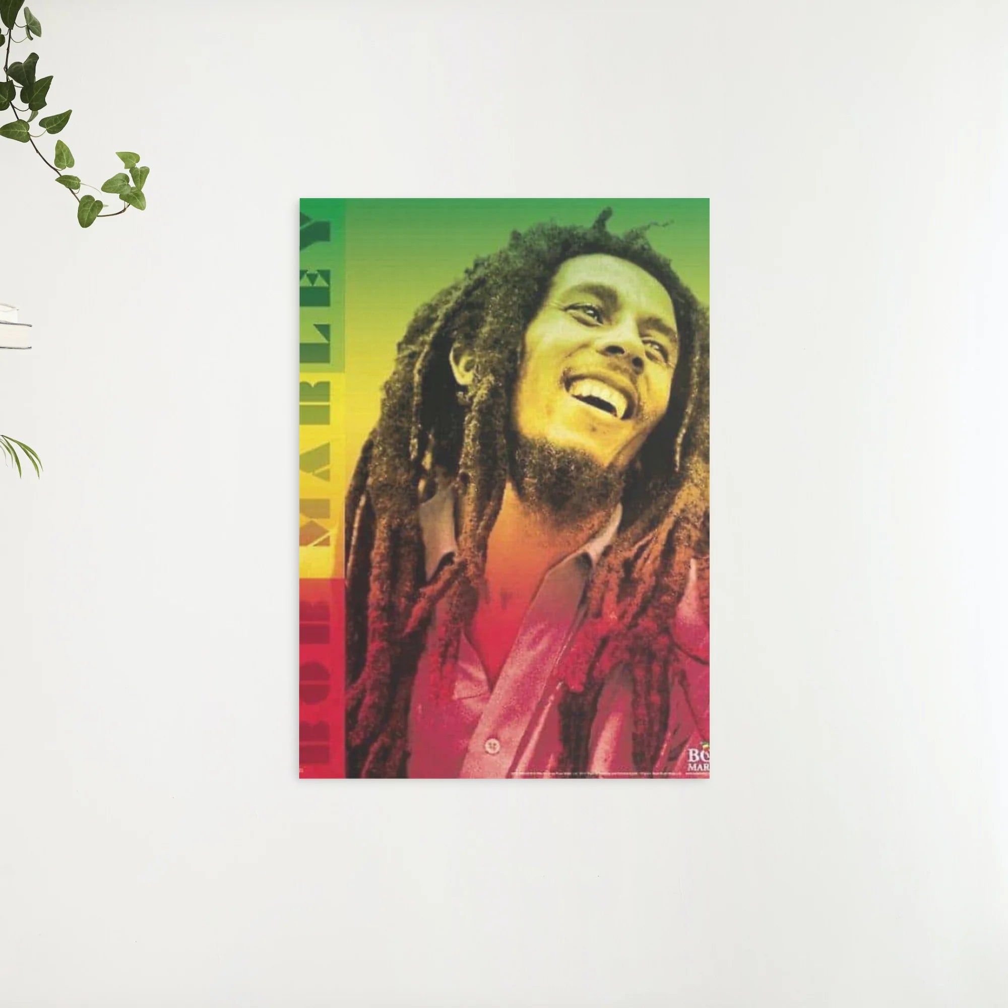 Diamond Painting Bob Marley - SEOS Shop ®