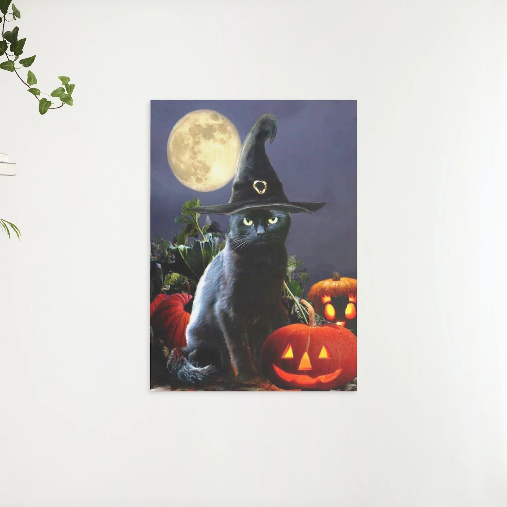 Diamond Painting De Zwarte Kater - SEOS Shop ®