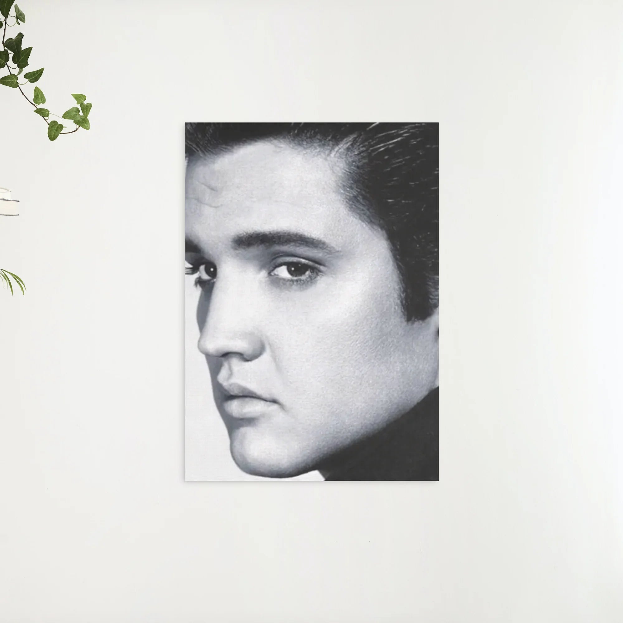 Diamond Painting Elvis Presley in zwart wit - SEOS Shop ®