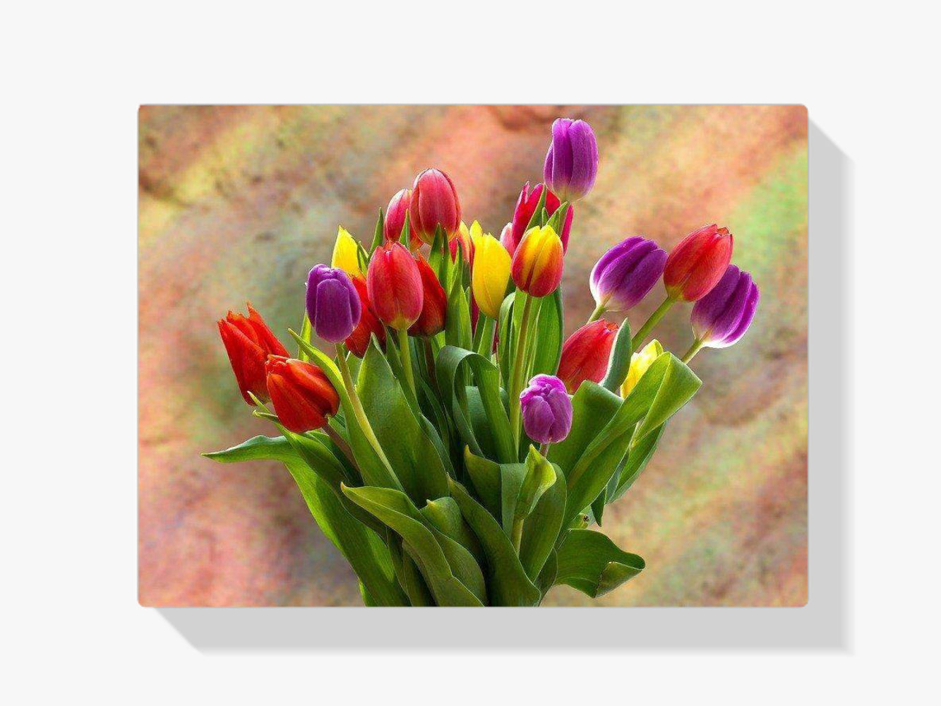 Diamond Painting Gekleurde tulpen - SEOS Shop ®