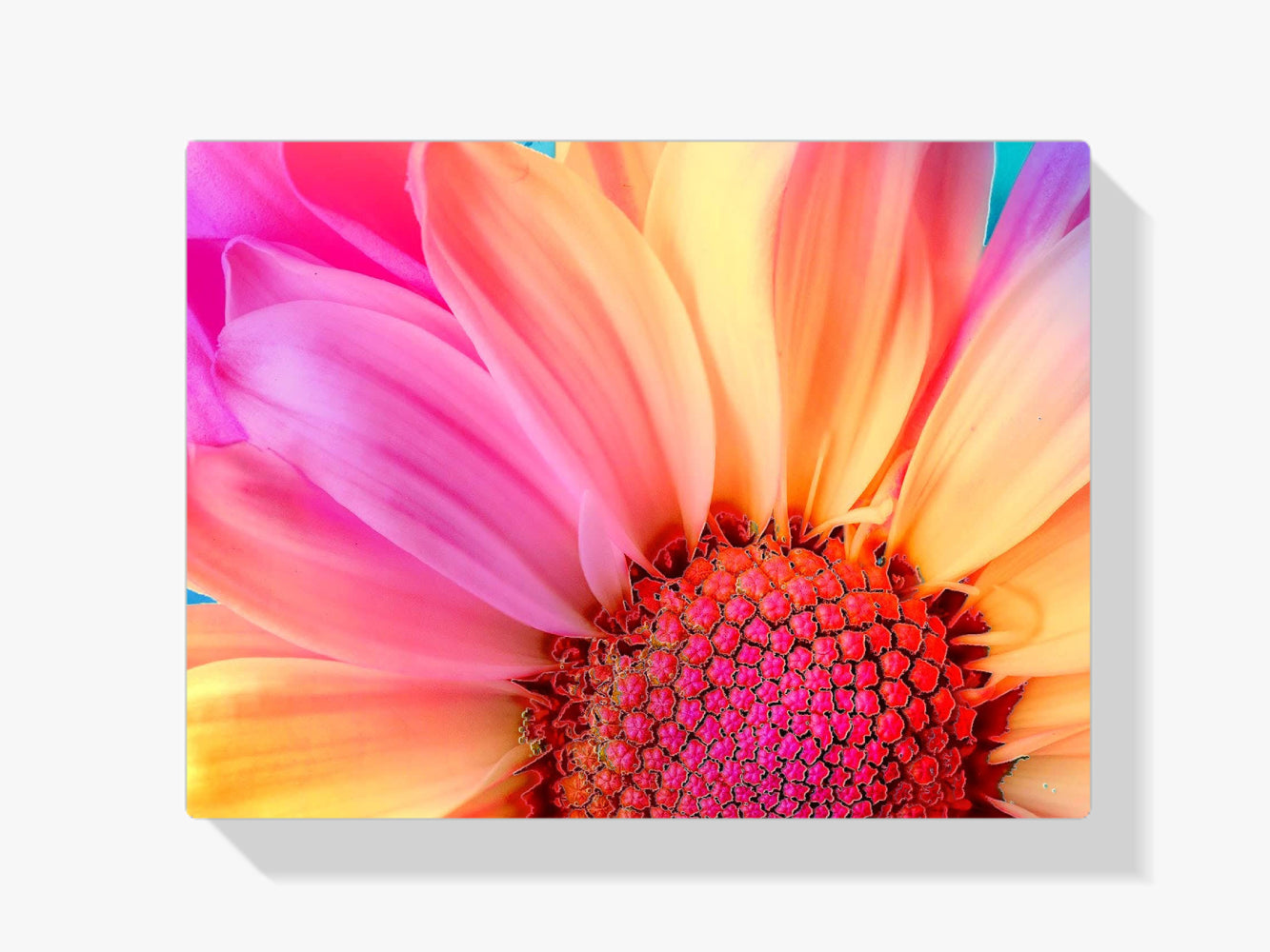 Diamond Painting Gekleurde zonnebloem - SEOS Shop ®