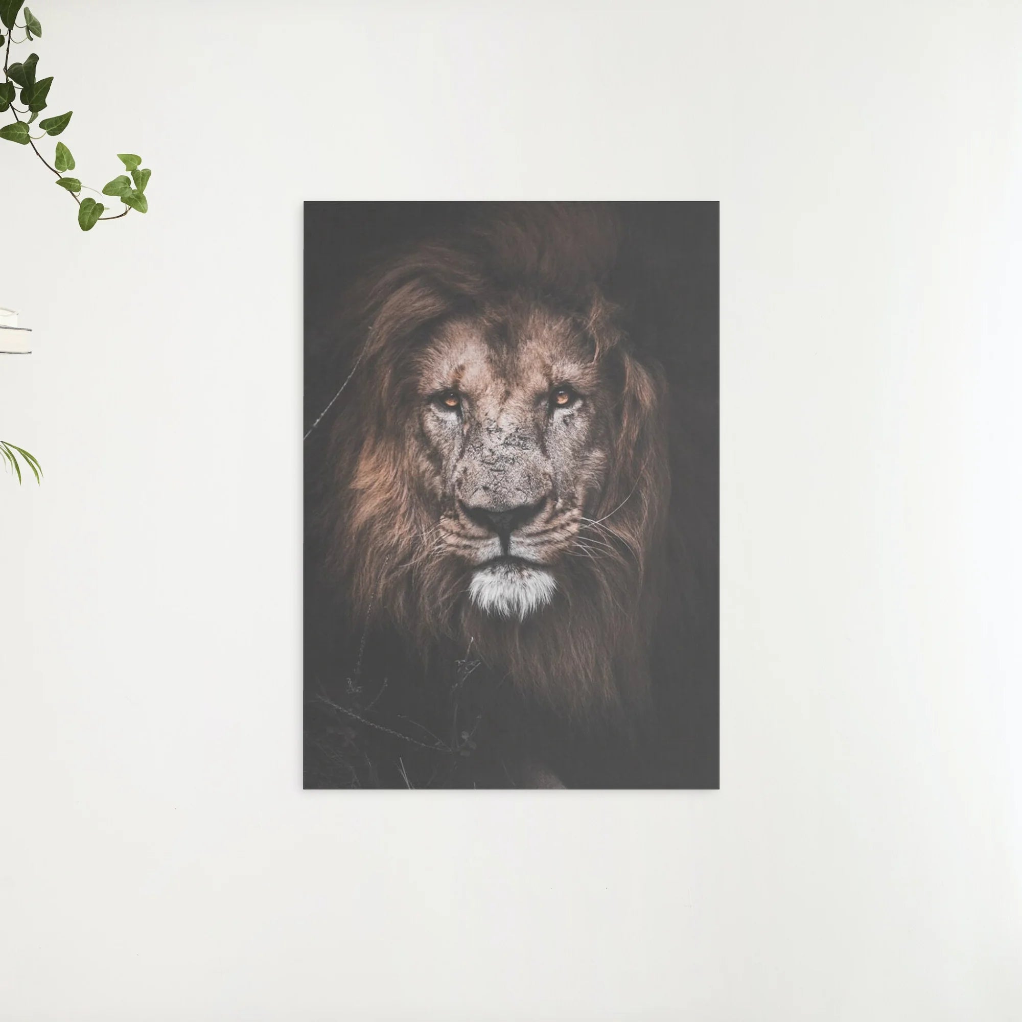 Diamond Painting Grote leeuw - SEOS Shop ®