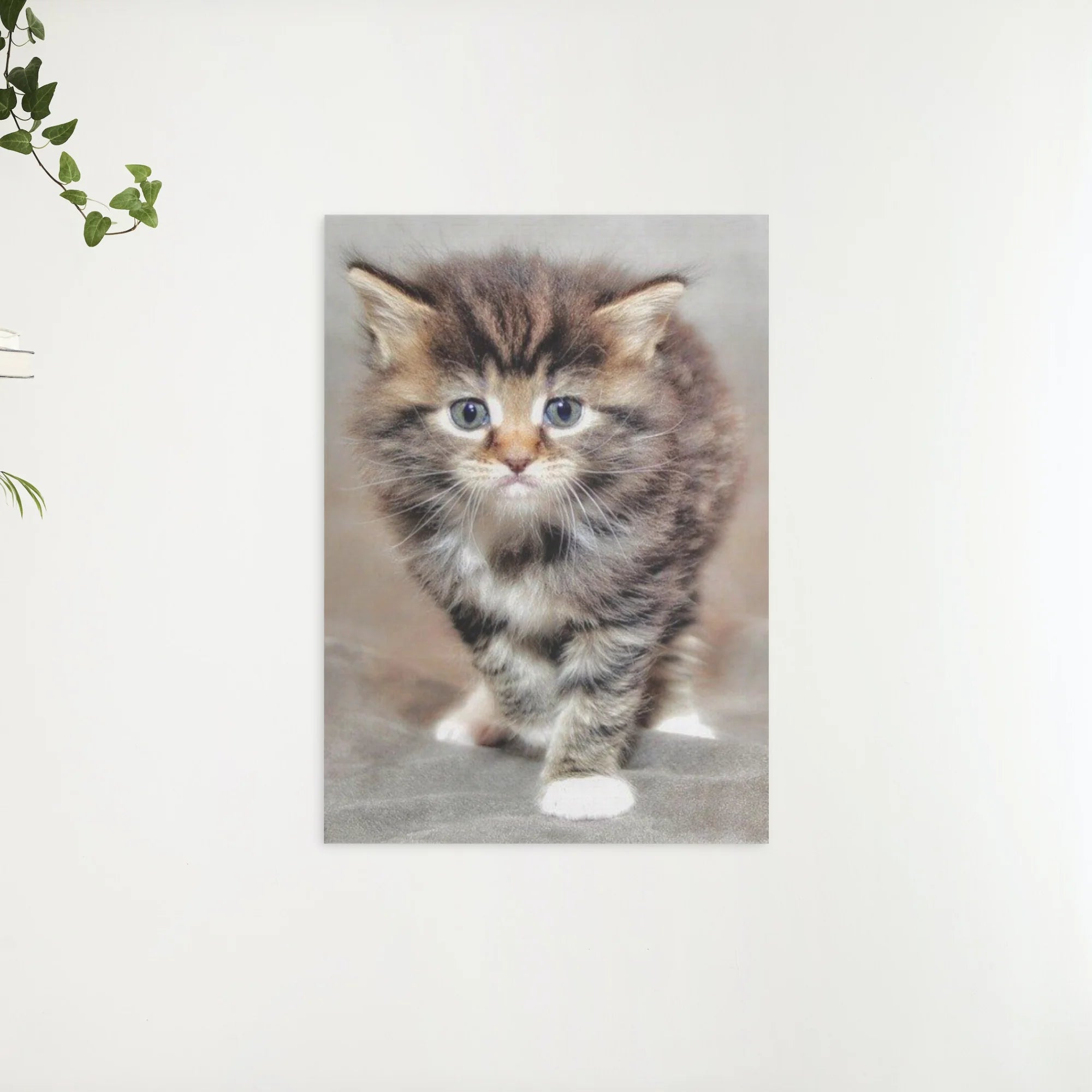 Diamond Painting Harige kitten - SEOS Shop ®