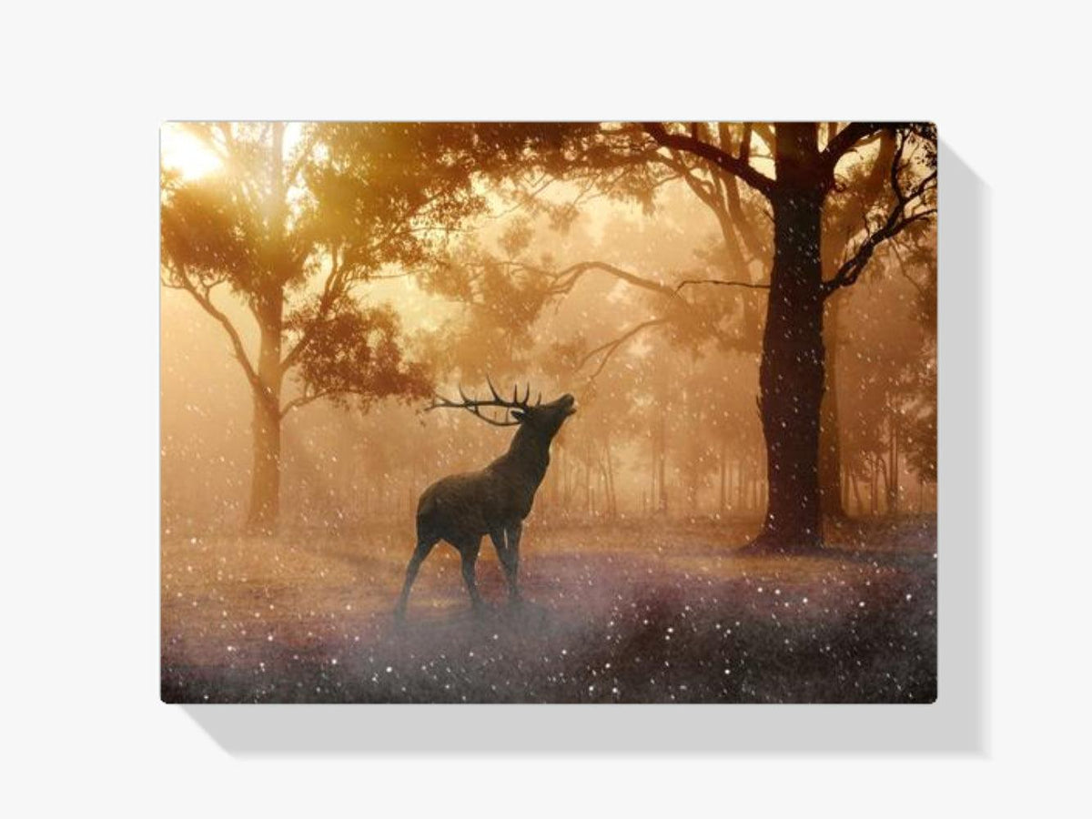 Diamond Painting Hert in het bos – SEOS Shop ®