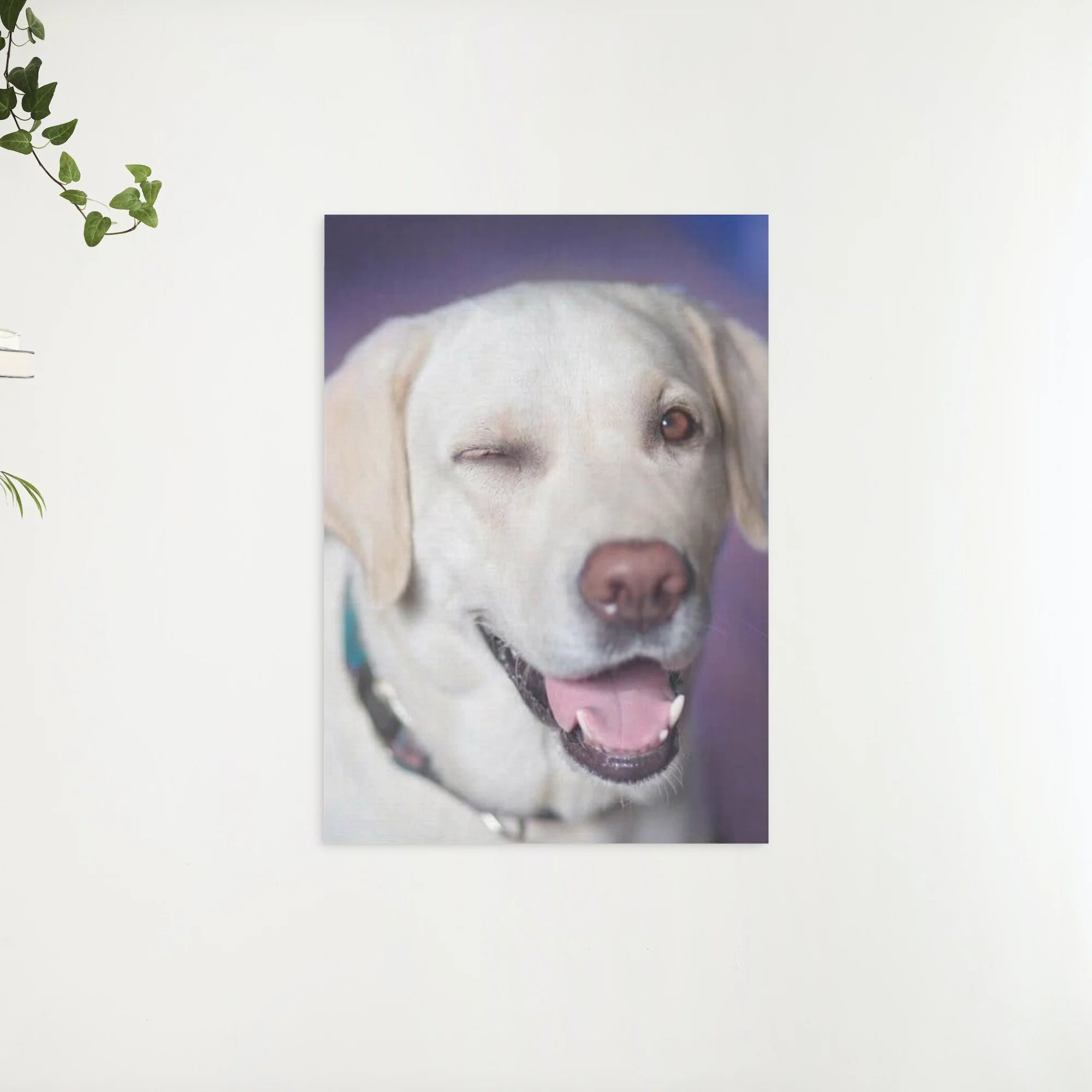 Diamond Painting Hond met knipoog - SEOS Shop ®