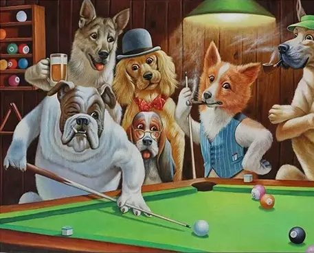 Diamond Painting Honden Spelen Pool - SEOS Shop ®