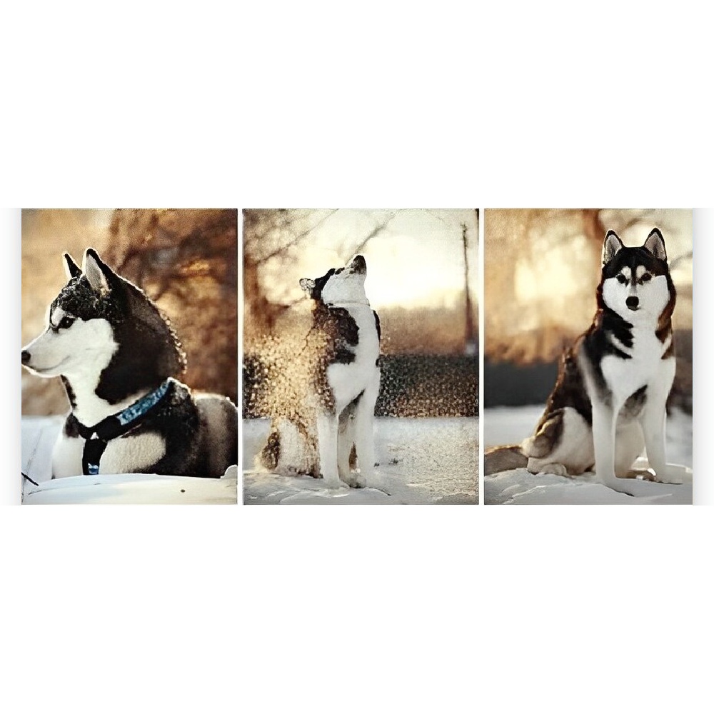 Diamond Painting Husky 3 luik - SEOS Shop ®