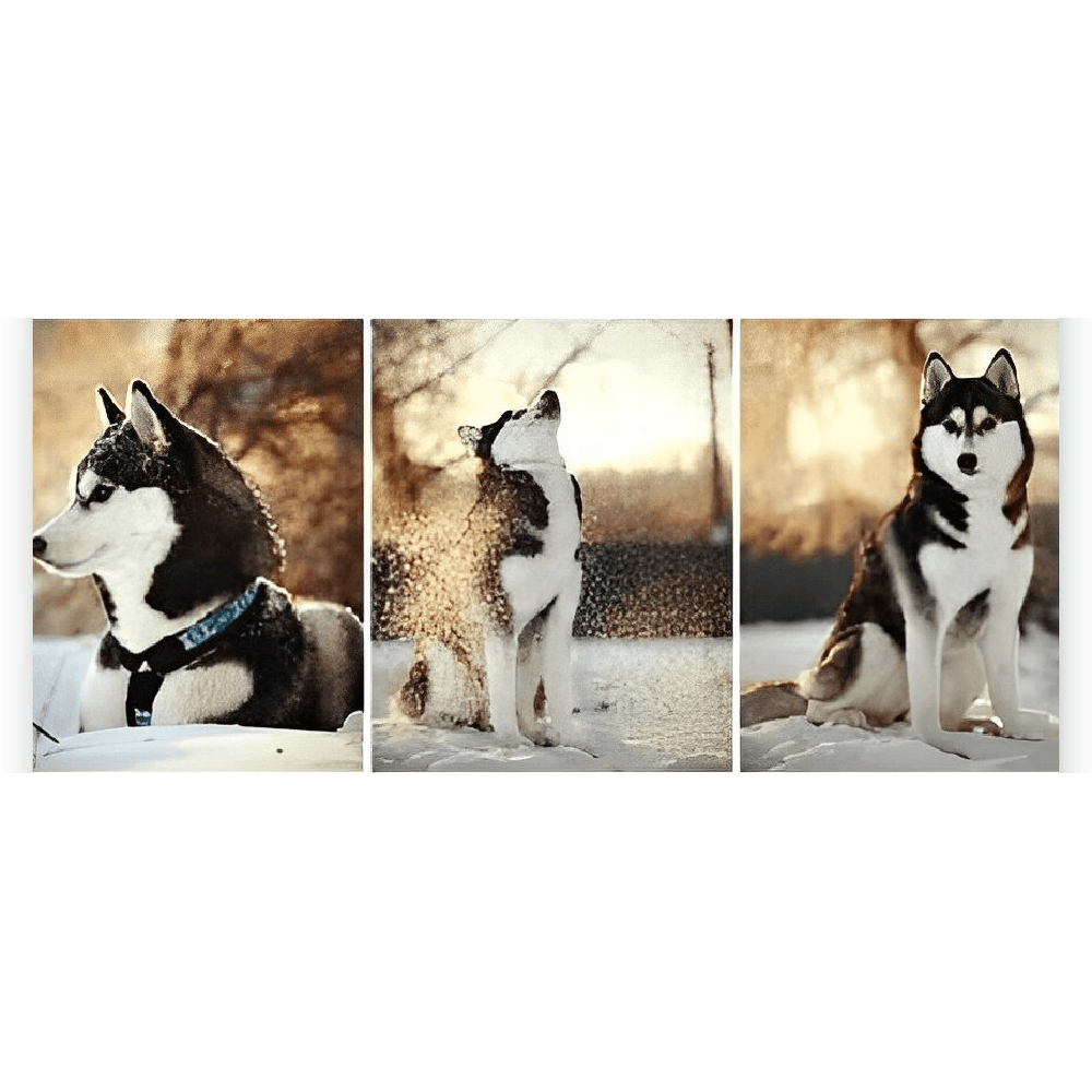 Diamond Painting Husky 3 luik - SEOS Shop ®