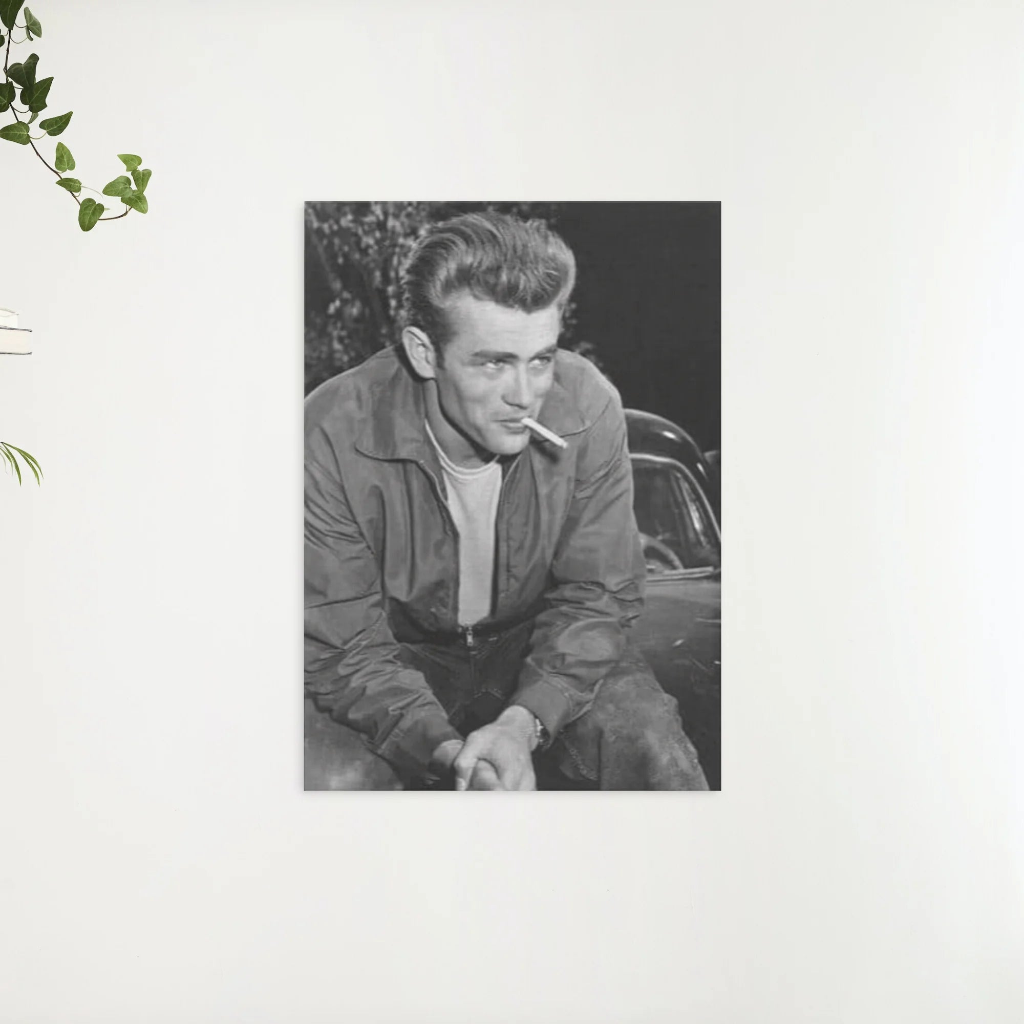 Diamond Painting James Dean zwart wit - SEOS Shop ®