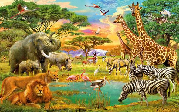 Diamond Painting Jungle dieren – SEOS Shop ®