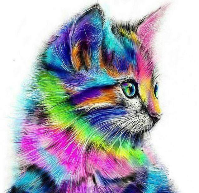 Diamond Painting - Kat in verschillende kleuren - SEOS®