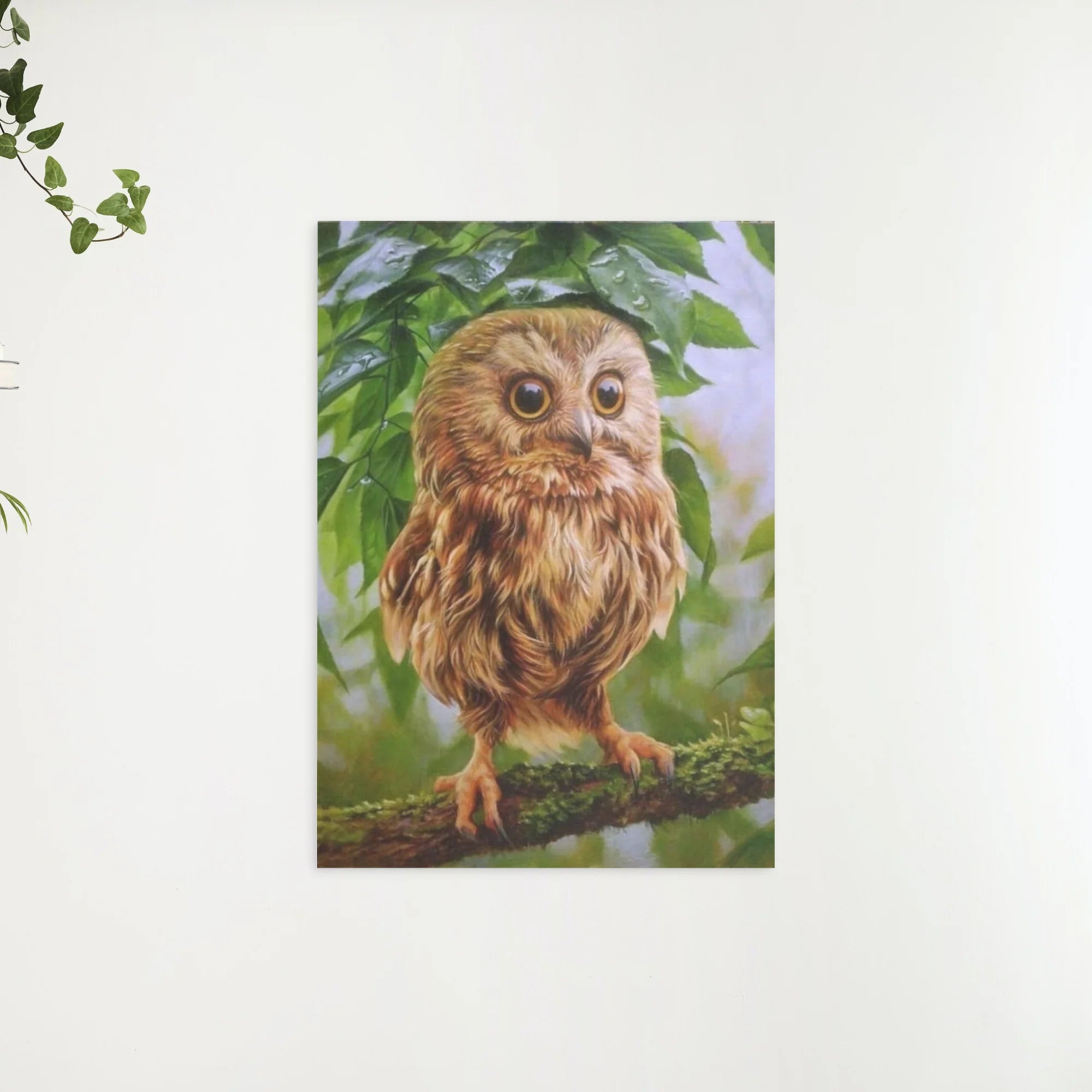 Diamond Painting Kleine Uil - SEOS Shop ®