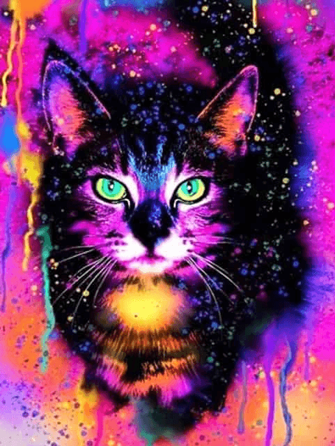 Diamond Painting Kleurrijke kat - SEOS Shop ®