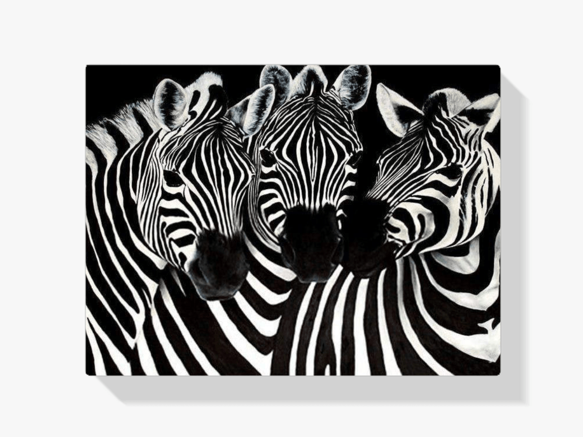 Diamond Painting Lieve Zebra's – SEOS Shop ®