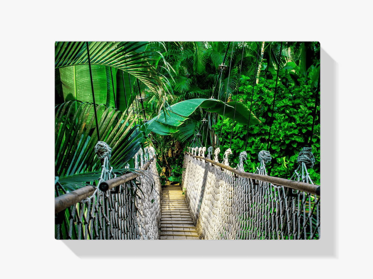 Diamond Painting Loopbrug in de Jungle – SEOS Shop ®