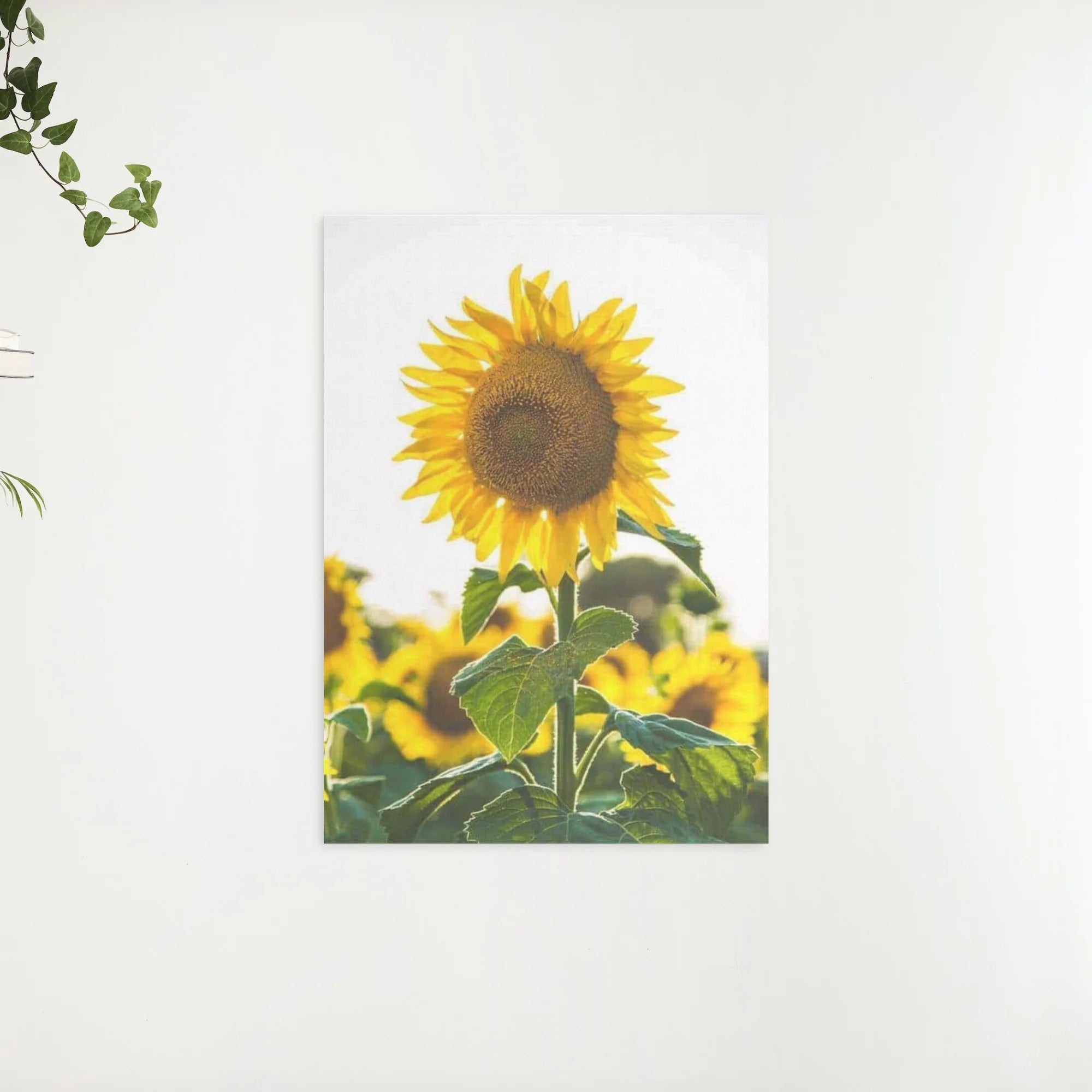 Diamond Painting Mooi zonnebloem - SEOS Shop ®