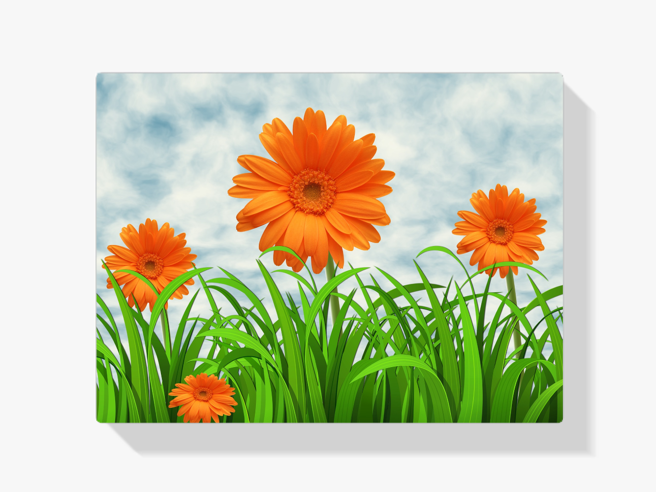 Diamond Painting Oranje Margrieten - SEOS Shop ®