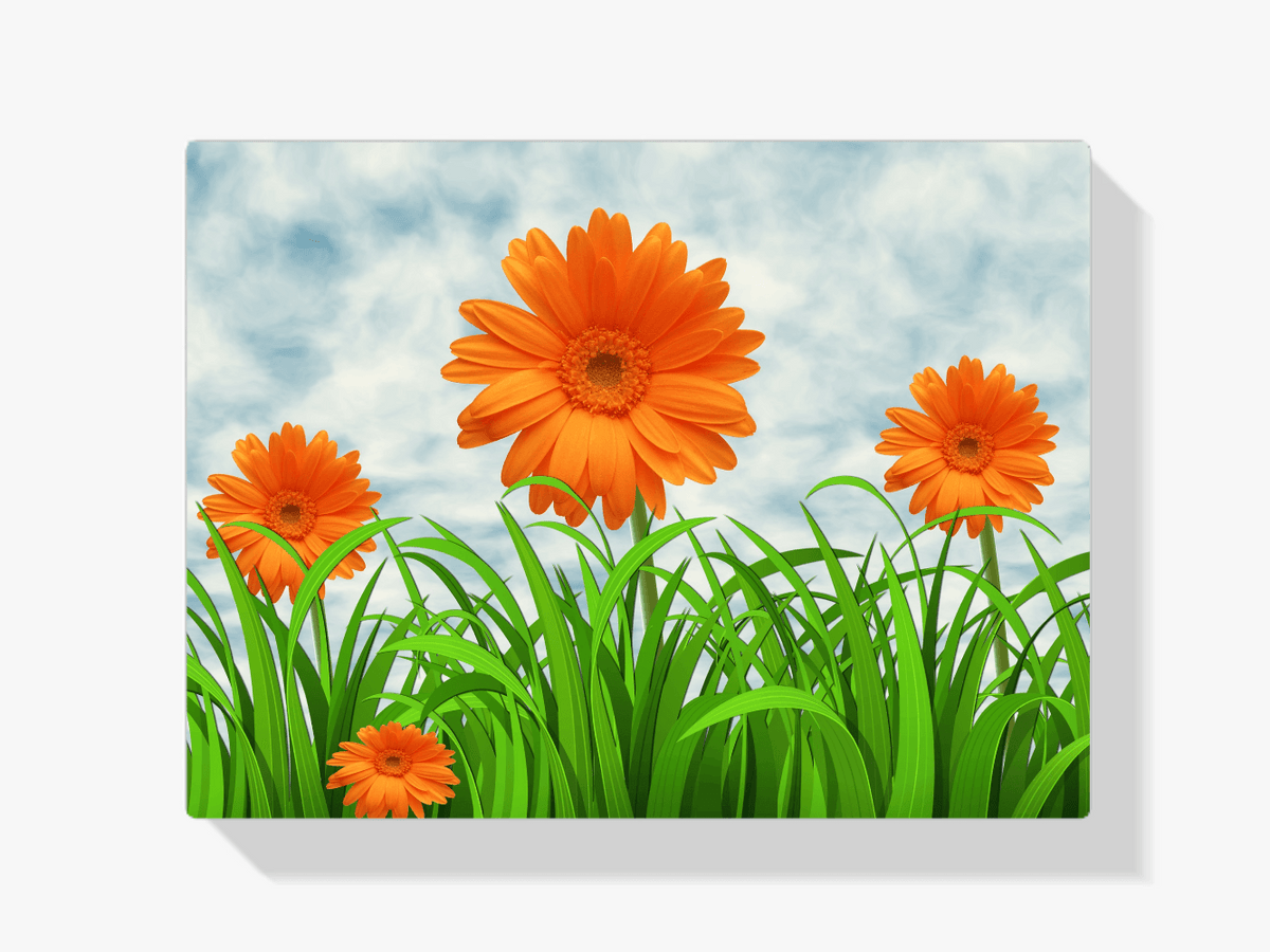 Diamond Painting Oranje Margrieten - SEOS Shop ®