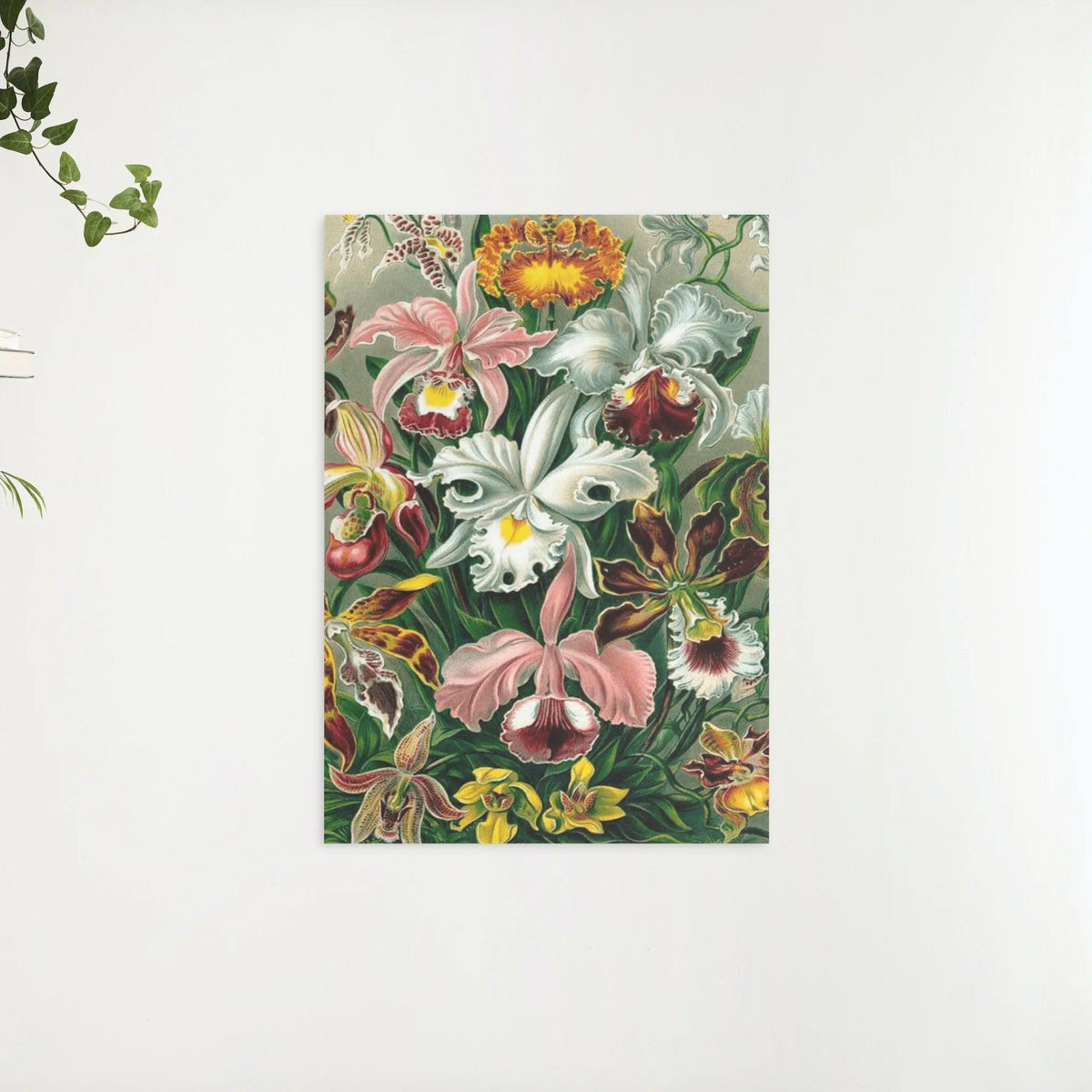 Diamond Painting Orchidee - SEOS Shop ®