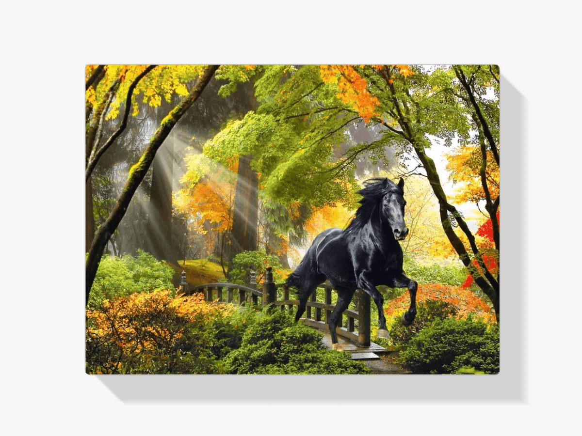 Diamond Painting Paard in het bos - SEOS Shop ®