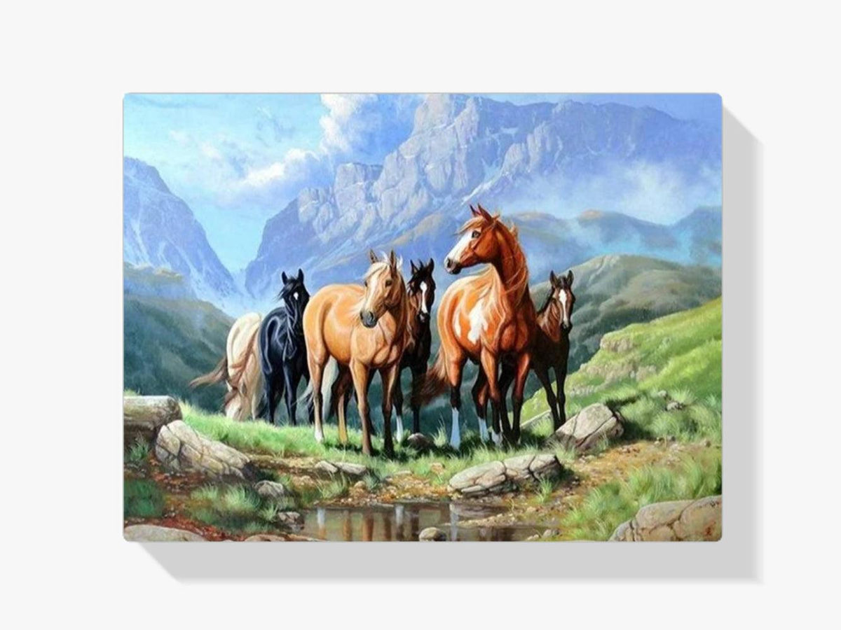 Diamond Painting Paarden in een veld - SEOS Shop ®