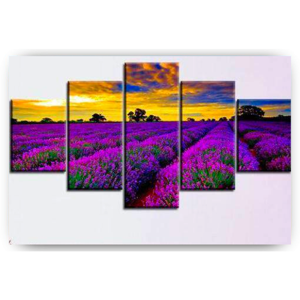 Diamond Painting Paarse bloemen in een veld 5 luik - SEOS Shop ®