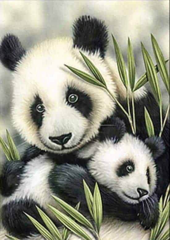 Diamond Painting Panda's - SEOS Shop ®