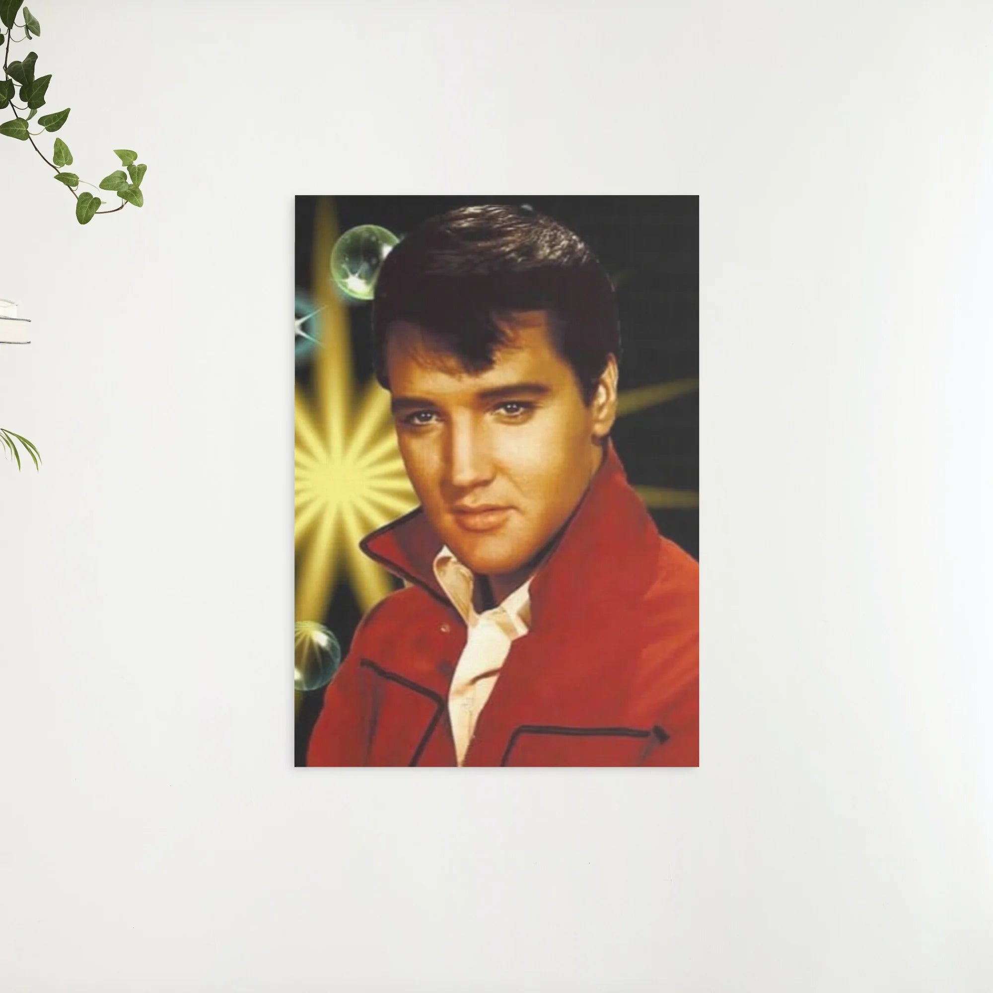 Diamond Painting Portret Elvis Presley - SEOS Shop ®