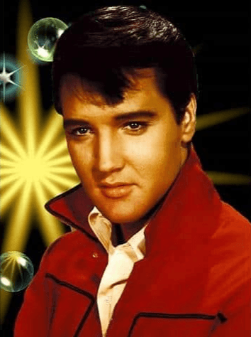 Diamond Painting Portret Elvis Presley - SEOS Shop ®