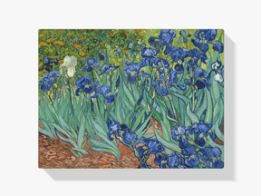 Diamond Painting Prachtige bloemen Van Gogh - SEOS Shop ®