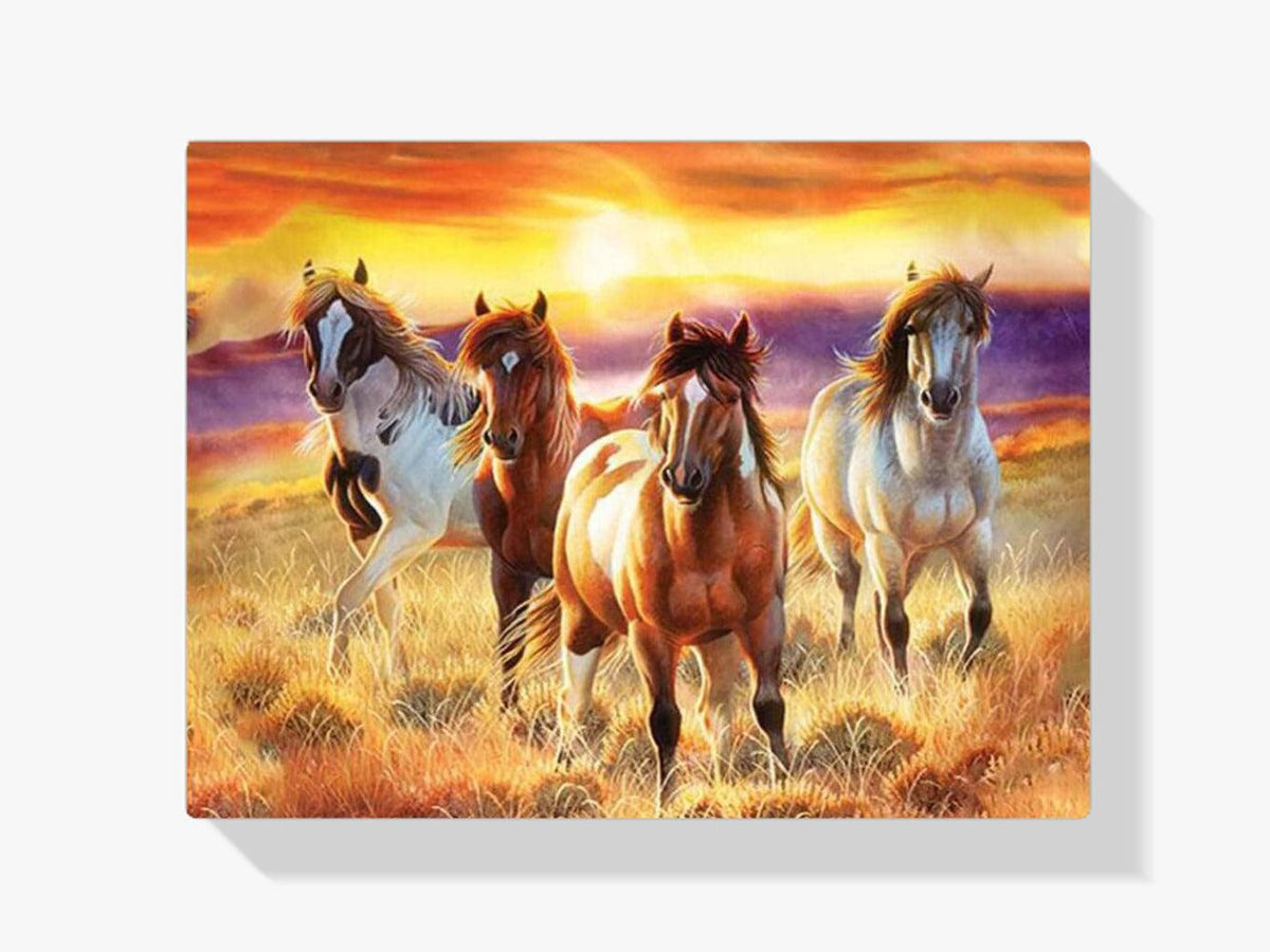 Diamond Painting Prachtige paarden in een veld - SEOS Shop ®