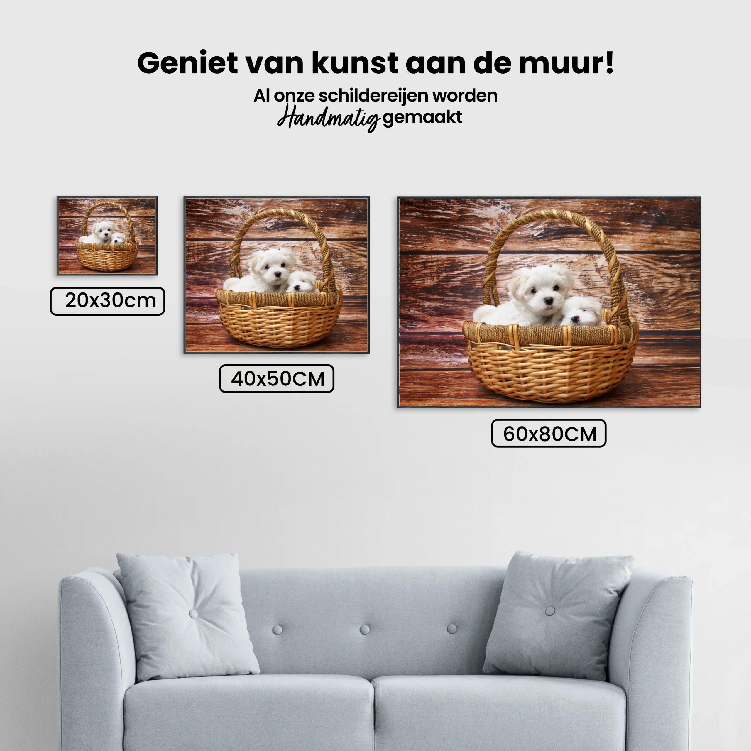 Diamond Painting Puppy's in een mandje - SEOS Shop ®