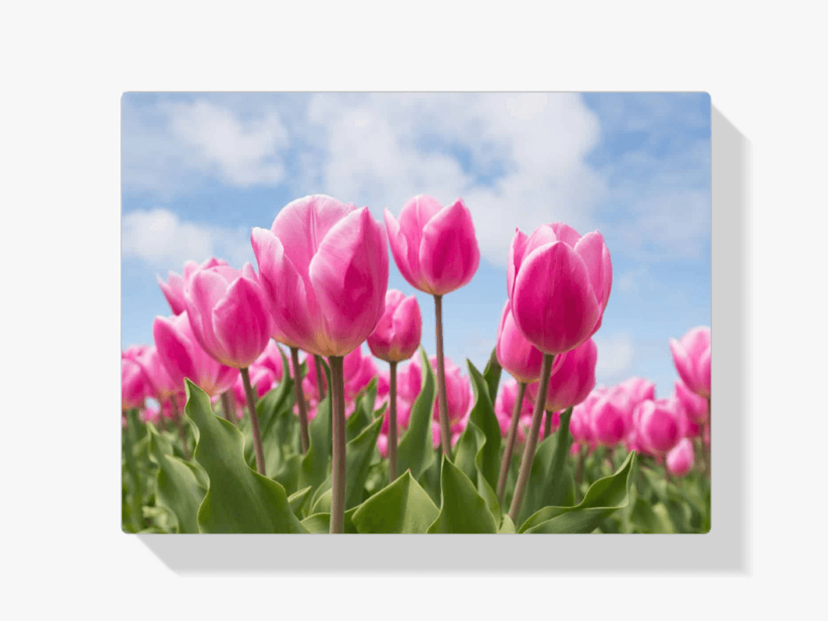 Diamond Painting Roze tulpen - SEOS Shop ®