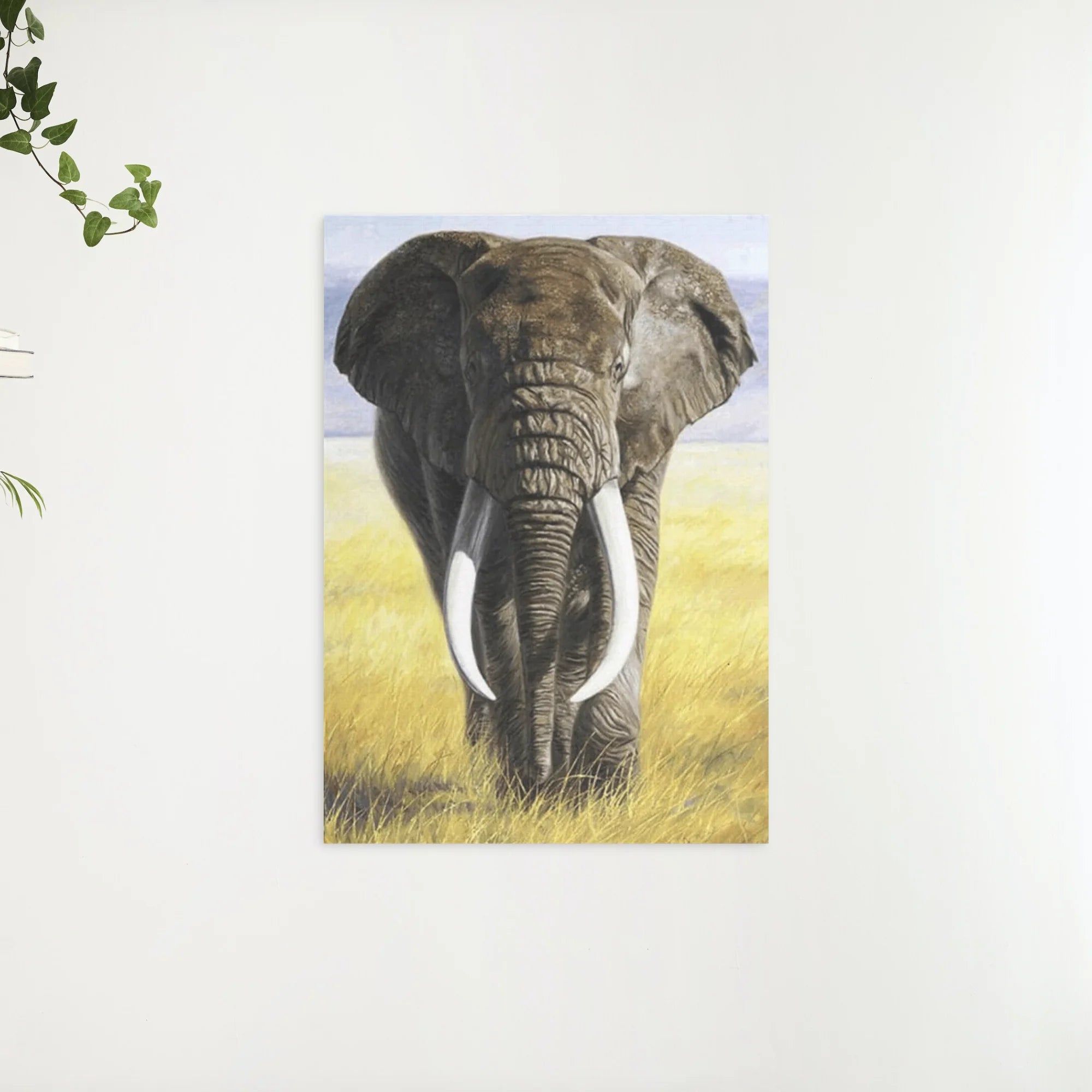 Diamond Painting Safari Olifant met slagtanden - SEOS Shop ®