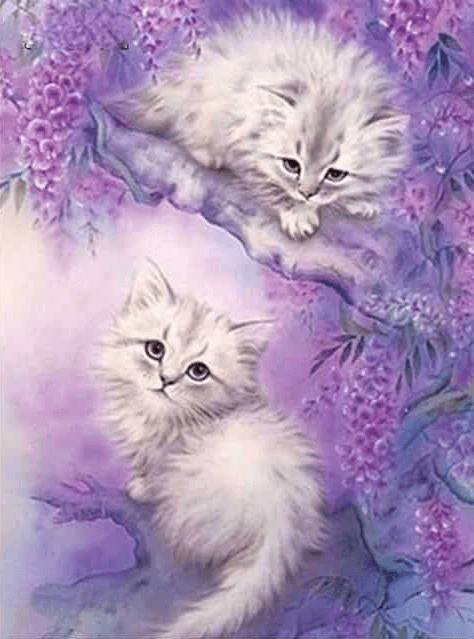 Diamond Painting Schattige Katten - SEOS Shop ®