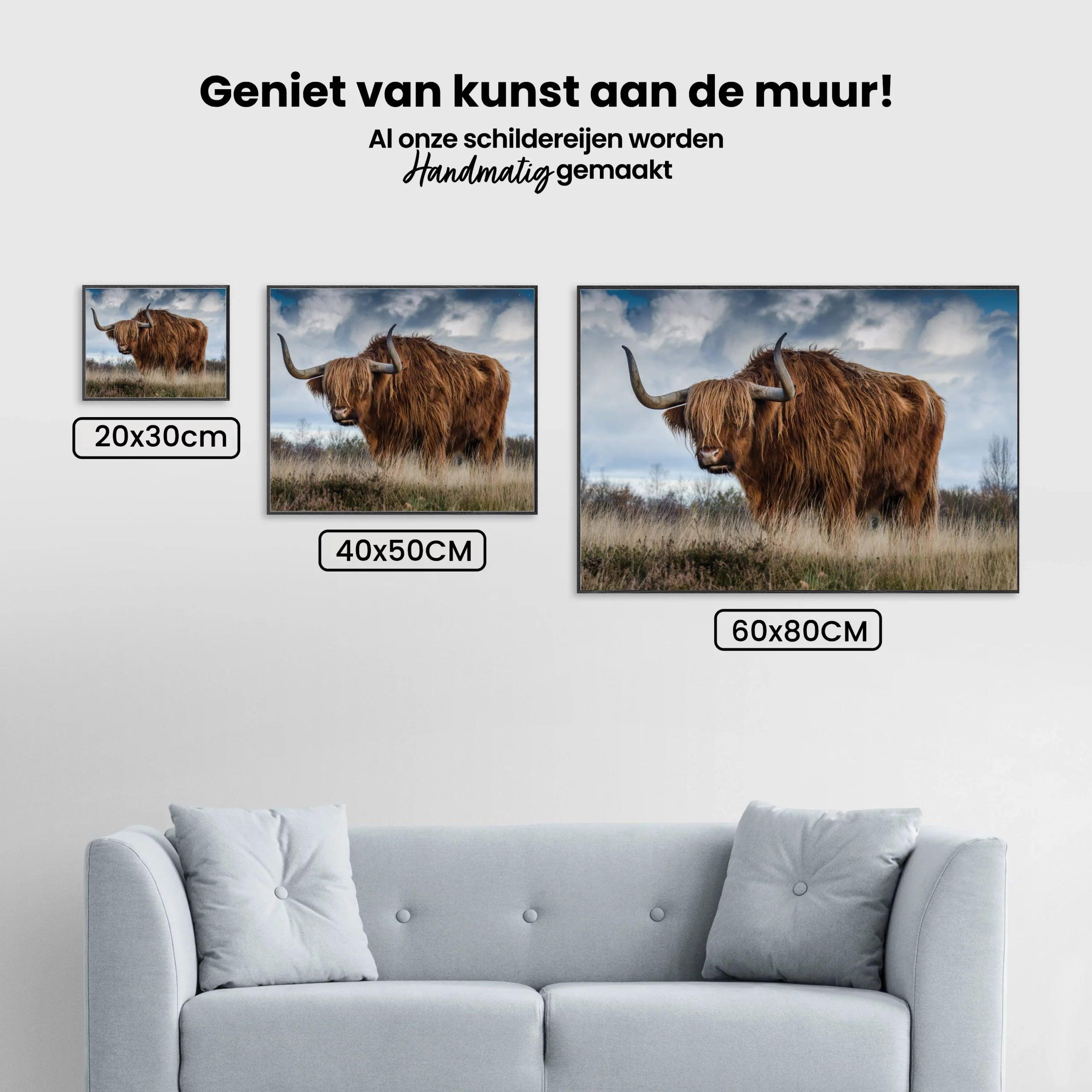 Diamond Painting Schotse hooglander - SEOS Shop ®