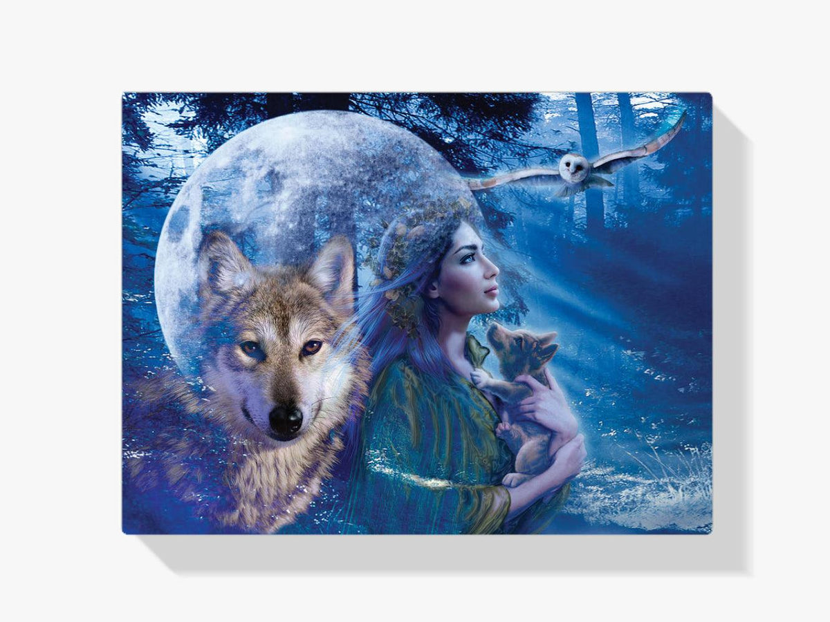 Diamond Painting Vrouw met Wolf en Uil - SEOS Shop®