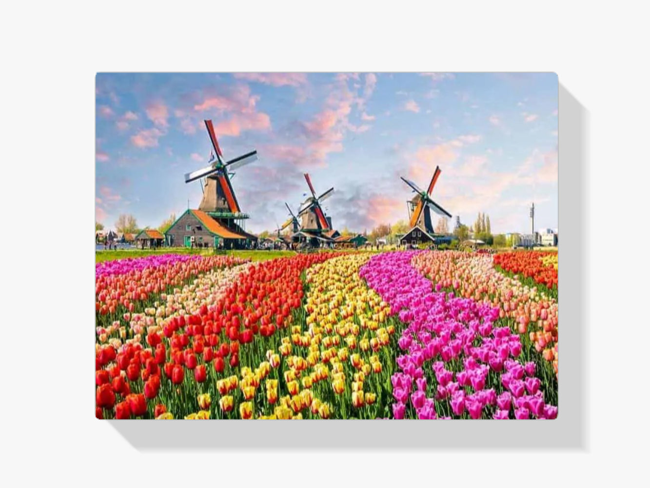 Diamond Painting Windmolens met Nederlandse tulpen - SEOS Shop ®