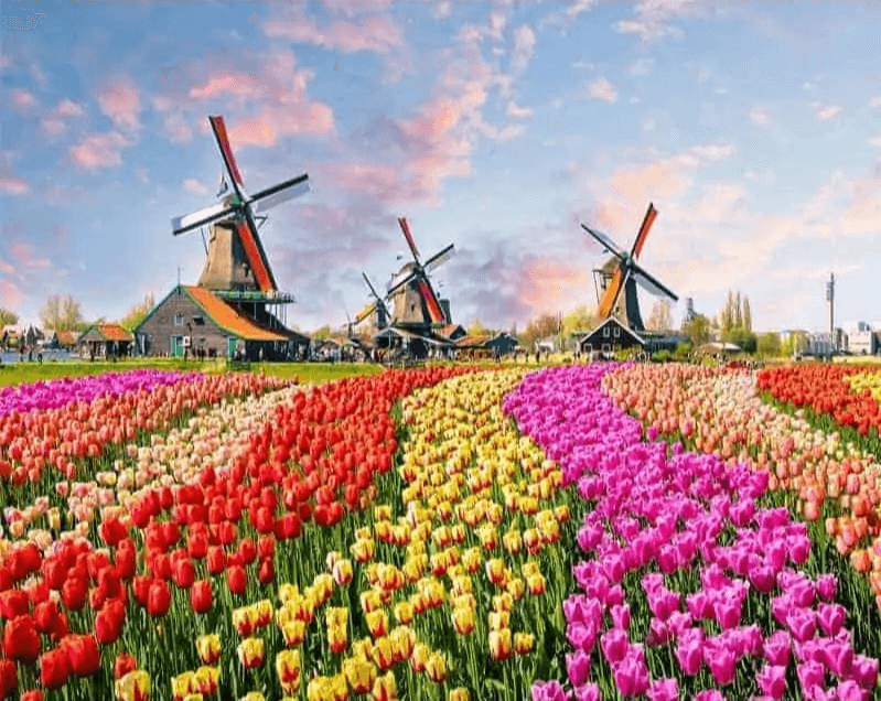 Diamond Painting Windmolens met Nederlandse tulpen - SEOS Shop ®