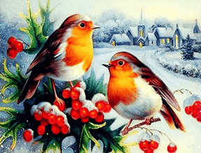 Diamond Painting Winter Vogels - SEOS Shop ®