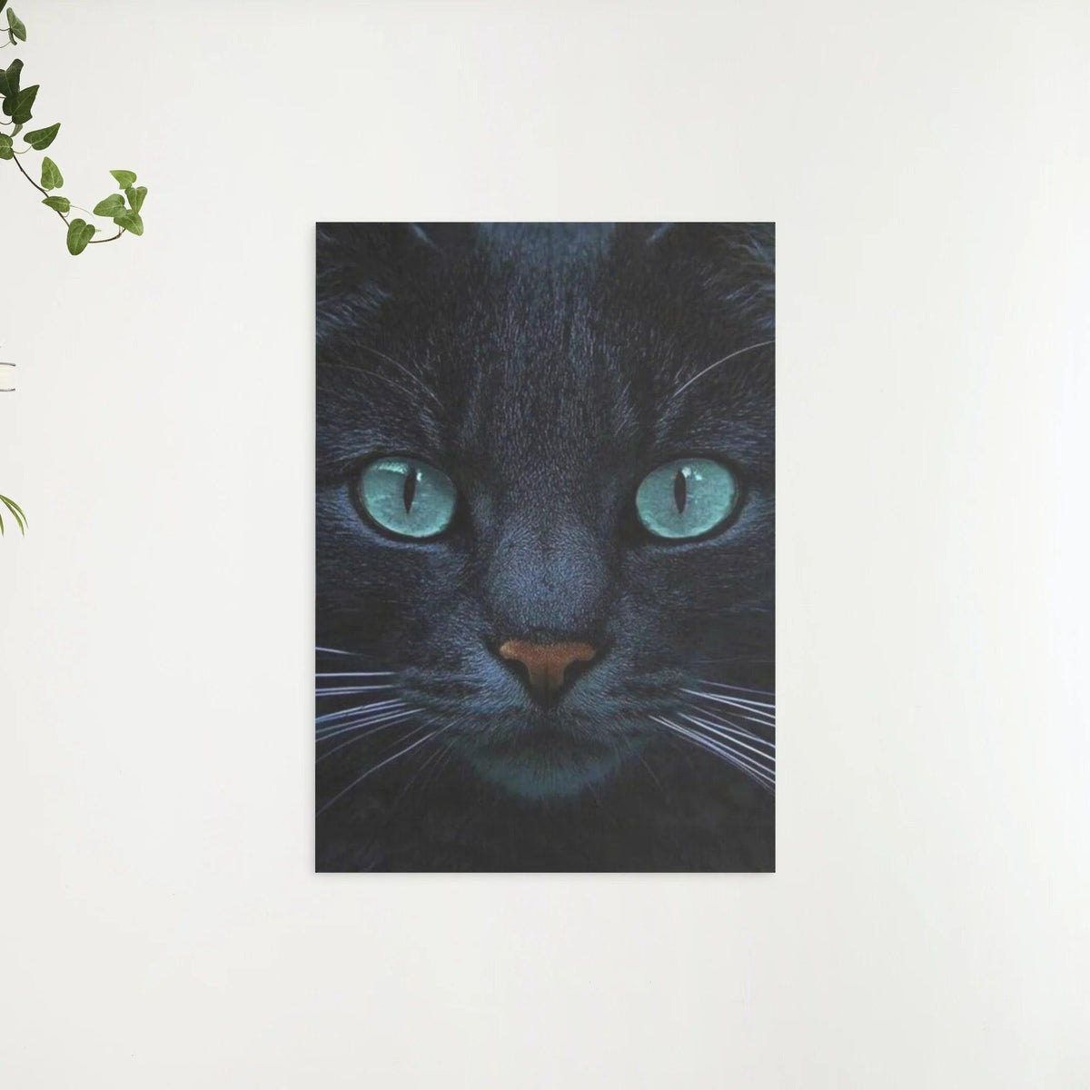 Diamond Painting Zwarte kat en blauwe ogen - SEOS Shop ®